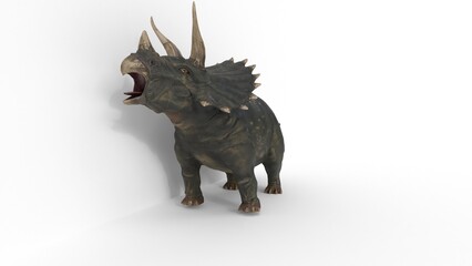 triceratops dinosaur on white background © Masihullah