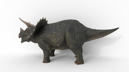 triceratops dinosaur on white background © Masihullah