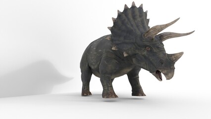 triceratops dinosaur on white background © Masihullah