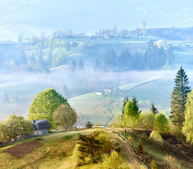 Fototapeta premium Serene countryside morning with mist rolling over gentle hills. Sunlight filters through, highlighting cozy farmhouse surrounded by lush trees. Scattered homes and winding paths, mist-covered valleys.
