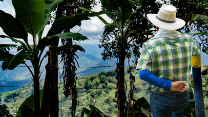 Farmer working on rice field