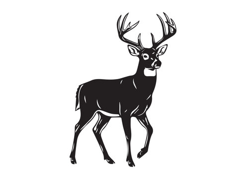 whitetail deer buck silhouette, black and white wild stag vector illustration