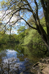 Maunzenweiher bei Frankfurt