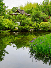 【奈良県】天理市 長岳寺 (2024/05/15撮影)