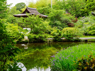 【奈良県】天理市 長岳寺 (2024/05/15撮影)