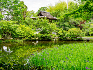 【奈良県】天理市 長岳寺 (2024/05/15撮影)