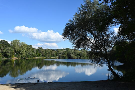 Erlensee bei Bickenbach