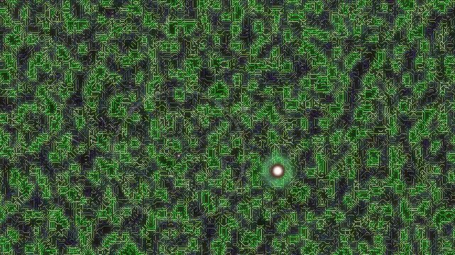 Aerial View of Forest with Small Object.