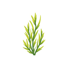Fototapeta premium Stylized Green Plant on White Background for Design