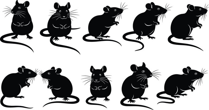 Big set of cute rat and mouse animal silhouettes vector illustration isolated on white background, black rodent pest graphic for chinese zodiac symbol, nature wildlife design collection
