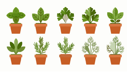 Fototapeta premium Minimal Flat Potted Kitchen Herb Icon Set for Cooking and Gardening Vector