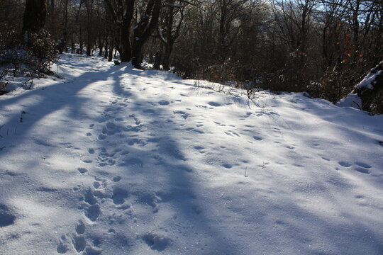 Beautiful winter landscape
