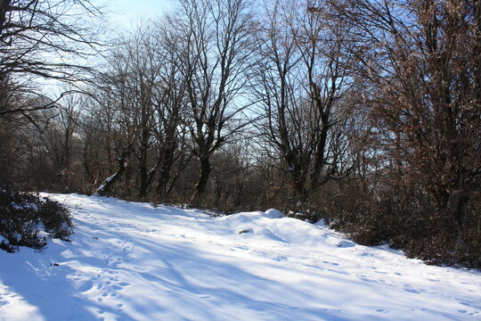 Beautiful winter landscape