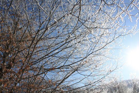 Beautiful winter landscape