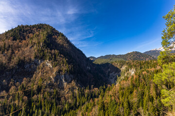Naklejka premium Vast, majestic mountain range wilderness landscape view with vibrant evergreen and deciduous forests under a clear blue sky, ideal for nature travel backgrounds.