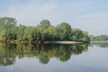 Obraz premium reflection of trees in the lake