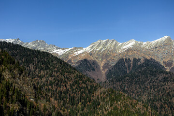 Rugged mountain slope with sparse snow and dense evergreen forest, perfect for nature and winter themes. © NastyaPhoto