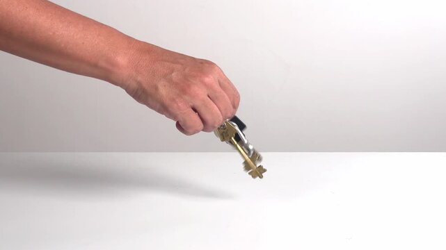 Video with real sound effect of Metal keys jingling