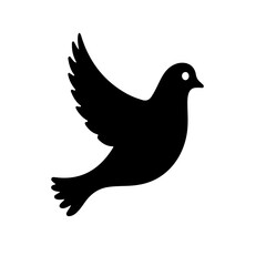 Fototapeta premium dove of peace