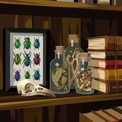A detailed illustration of a vintage study shelf, featuring a framed insect collection, botanical jars, a bird skull, and stacks of old books.