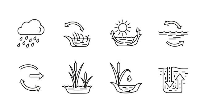 Water cycle and wetland ecosystem line icons set, showing rain, evaporation, transpiration, and groundwater processes.