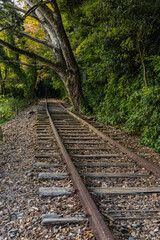 日本　鳥取県倉吉市関金町にある旧国鉄倉吉線、泰久寺駅の廃線跡の線路と紅葉した木々