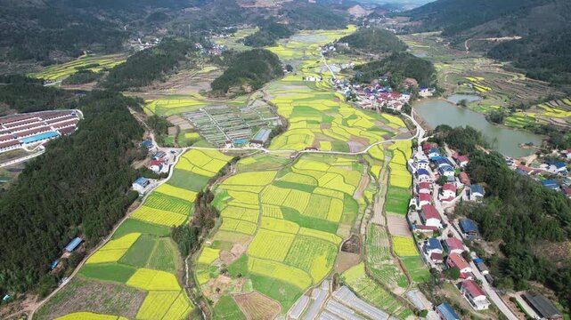 Aerial View of Rural Valley with Yellow Rapeseed Fields and Villages