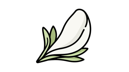 Simple cartoon illustration of a flower with white petals and green leaves