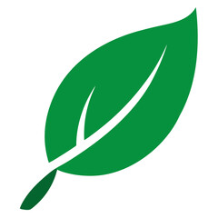 green leaf icon