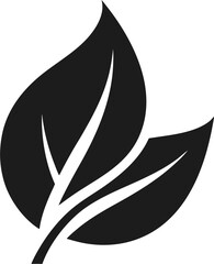black and white vector illustration of a leaf
