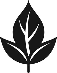 vector illustration of a leaf