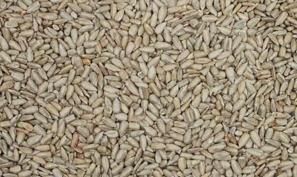 Closeup sunflower seeds with salt background and texture, top view