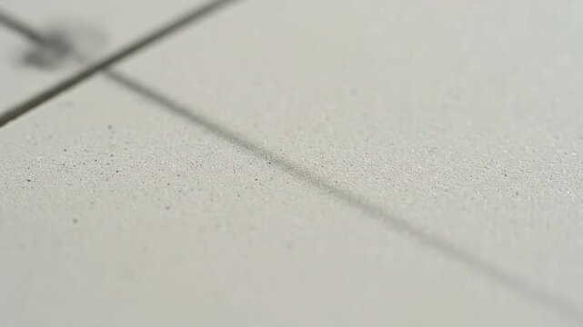 Close-up of white ceramic tiles with subtle texture and grout lines.