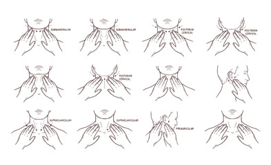 Fototapeta premium Lymph Node Examination Hand Set - Neck and Jawline Palpation Medical Procedure Silhouettes Isolated on White