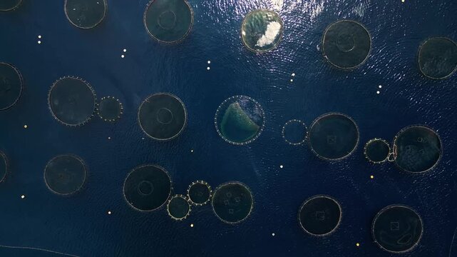 Aerial view of several fish farms contrasting with the blue sea, forming a geometric pattern, Sardinia, Italy.