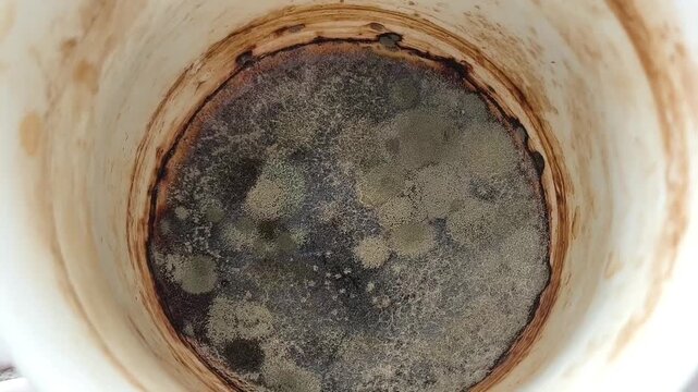 Close-up of mold in a mug. Fungi on the surface of old tea