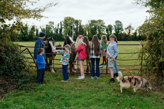 Large family visiting their local horses in the field