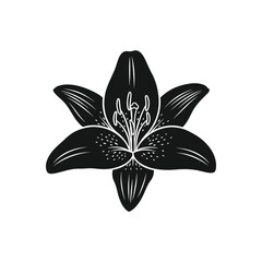 Obraz premium Lily Flower Illustration in Simple Elegant Black and White Line Art for Botanical Design