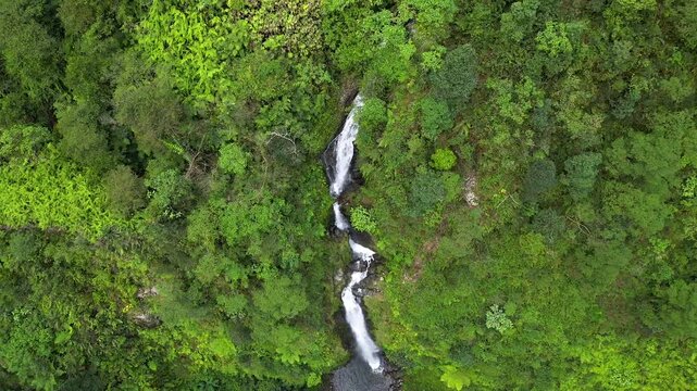 Drone aerial footage highlighting the vertical flow of Curug Cikawah waterfall amidst thick tropical vegetation in Gunung Halimun Salak National Park, Bogor, Indonesia.