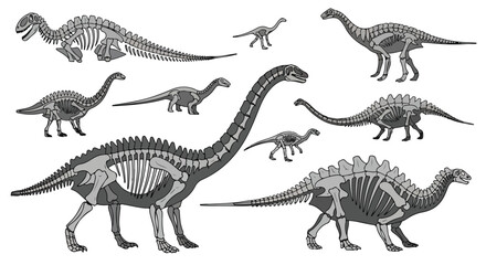 Naklejka premium A grayscale illustration of various dinosaur skeletons in different poses on a white background.