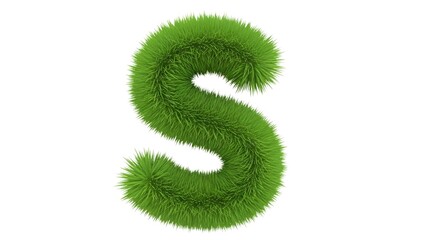 Fototapeta premium A large green grass letter S on a plain white background