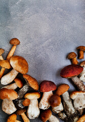 Wild forest edible mushrooms (boletus), close-up