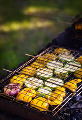 Grilled vegetables (zucchini and bell pepper) on barbecue, green grass background, summer outdoor