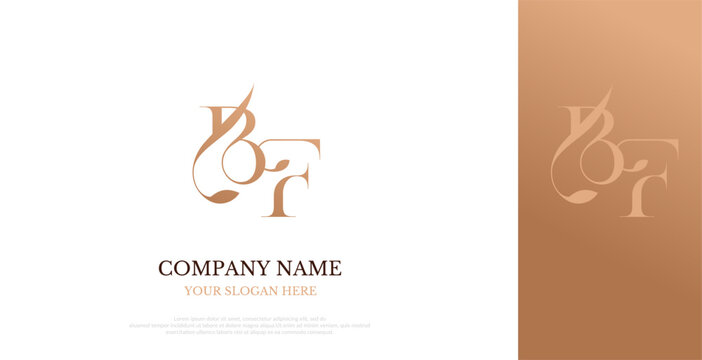 Initial BF Logo Design Elegant