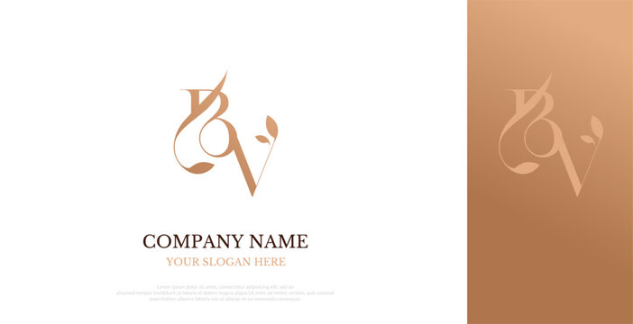 Initial BV Logo Design Elegant