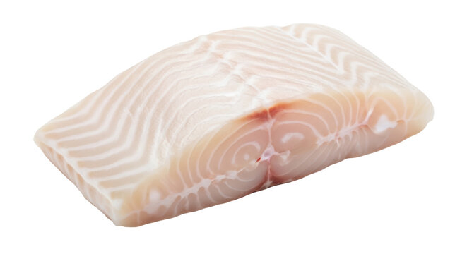 Fresh raw halibut fillet isolated PNG on transparent background, healthy seafood ingredient for cooking and gourmet recipes