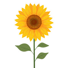 Fototapeta premium A vibrant, detailed illustration of a sunflower with large yellow petals and a dark brown center