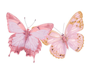 Fototapeta premium Delicate watercolor illustration of two butterflies, wings outstretched, overlapping slightly