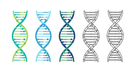 Illustration of DNA double helix structures in various colors and line styles on a clean background, showcasing molecular biology concepts