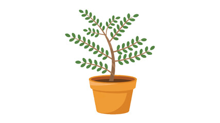 Fototapeta premium A simple illustration of a potted plant with a single brown trunk and green leaves arranged in a spiral pattern (2)_traced